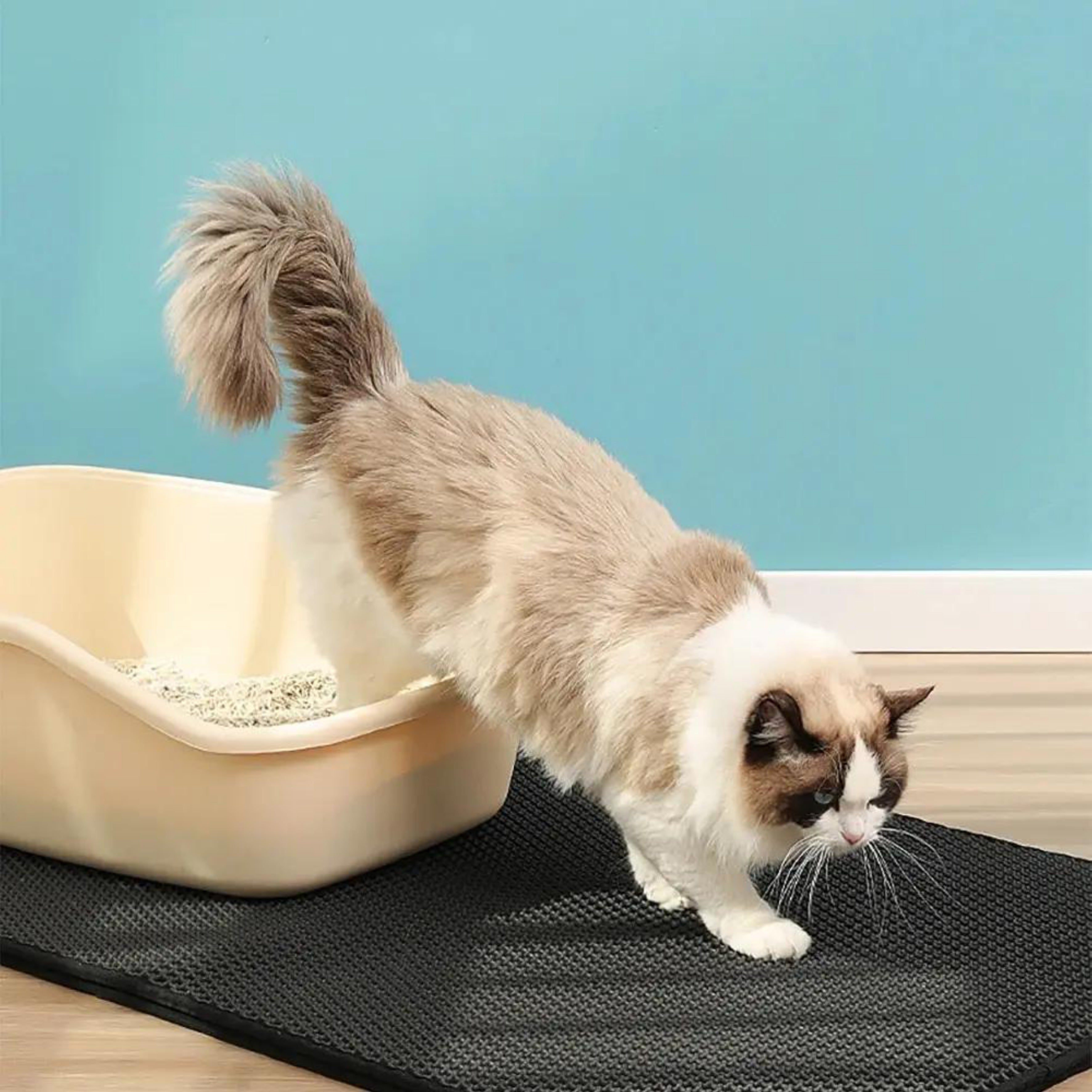 Alfombra atrapa arena