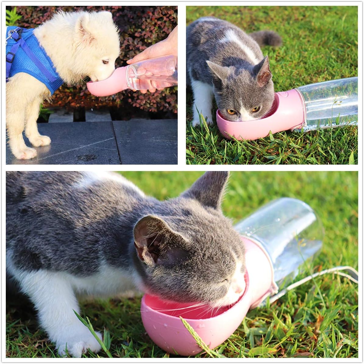 Dispensador de agua mascota portátil