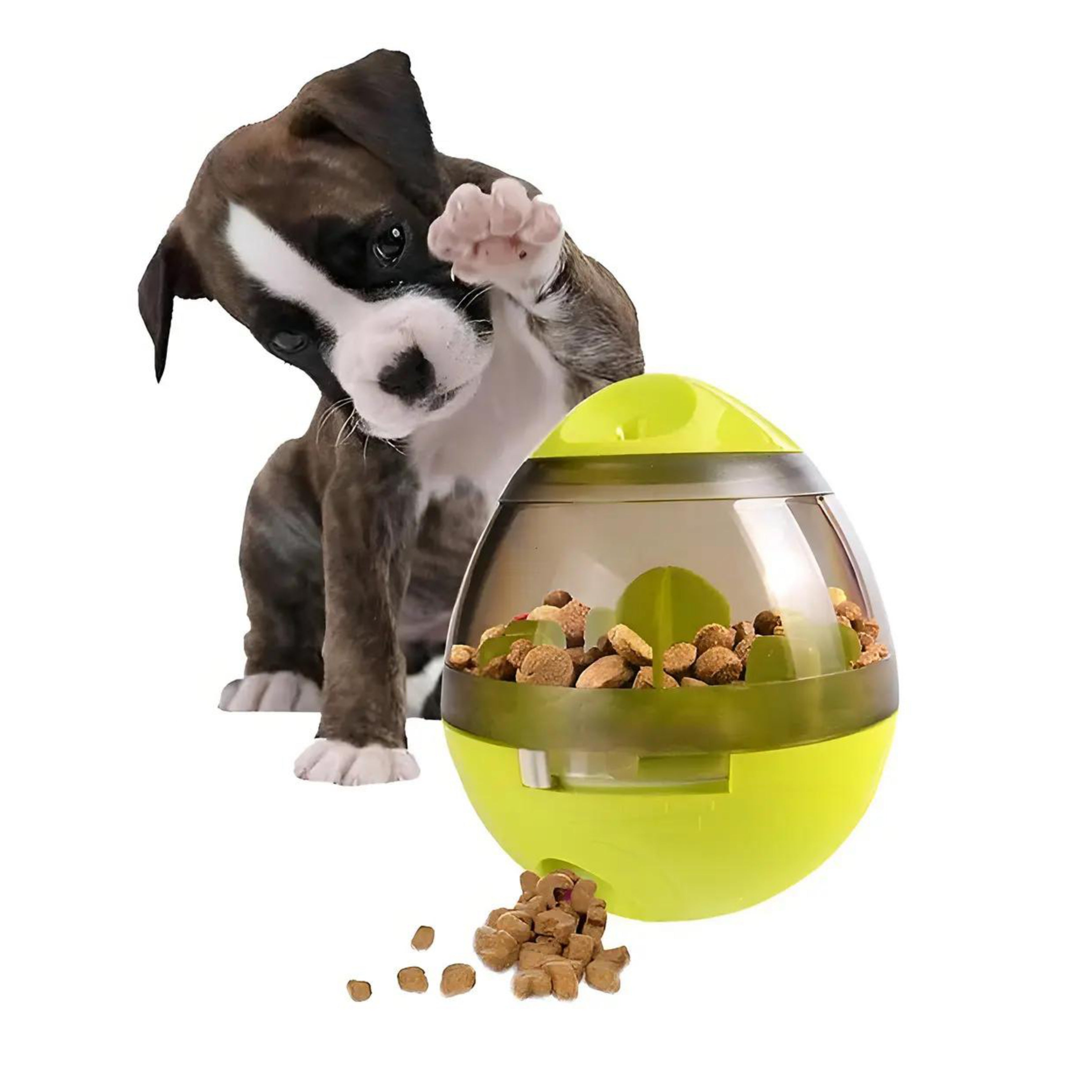 Juguete bola con premios para mascota