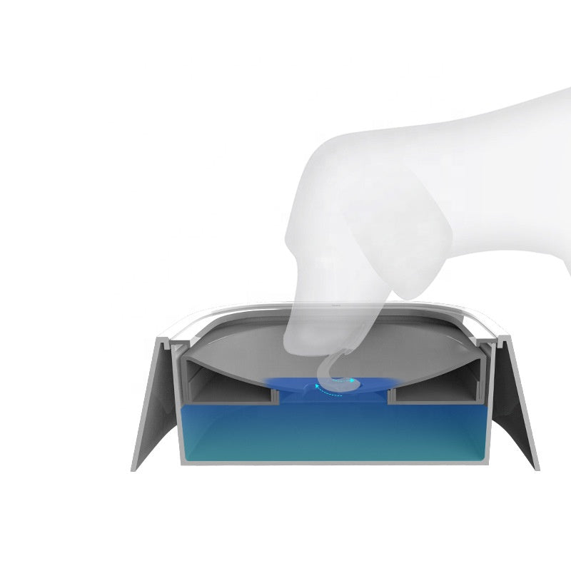 Plato de agua mascota sin derrames